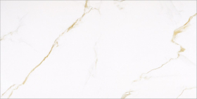 GOLDEN CARRARA 60*120 (2 шт-1.44 м2) Керамогранит Porcelain Tile Golden Carrara 60x120